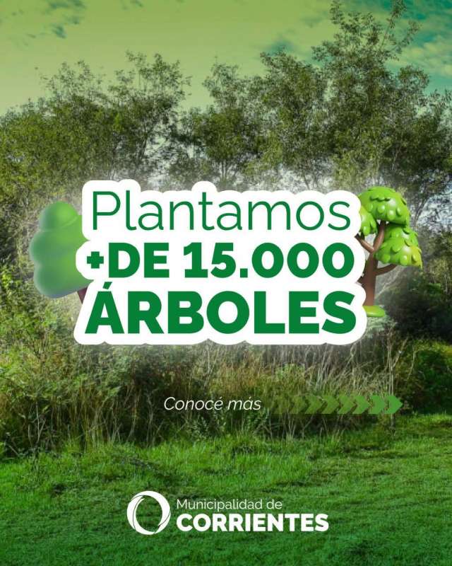 Día del Árbol